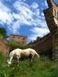 horse and ruins