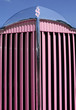 the pink money car