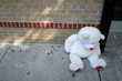 lonely bear