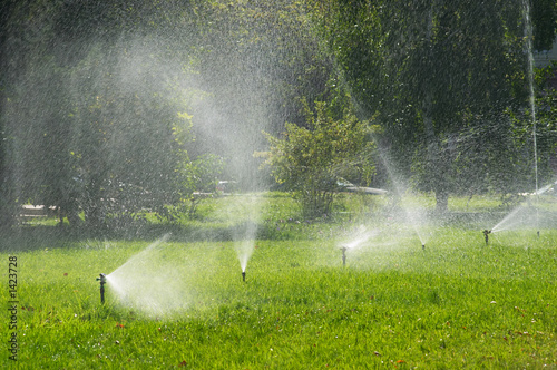 irrigation