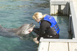 lady with a dolphin