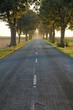 allee