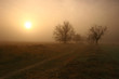 road in fog