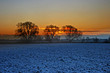 sunrise in winter