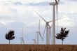 eoliennesen groupe