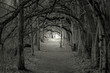 spooky light at the end spooky light at the end