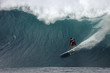 surfer