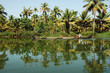 india, kerala: landscape