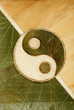 ying-yang ying-yang