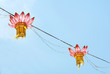 chinese lanterns 2