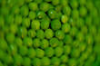 petit-pois cuisiné