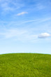 grass_bluesky_1