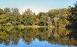 autumn reflection