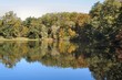 autumn reflection