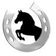 jumping horse