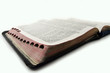 holy bible