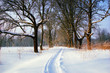 frosty morning 2
