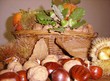 fruits d'automne
