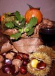 nature morte