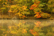 autumn pond
