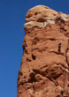 rapelling