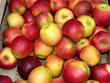 red apples close up
