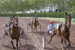 course de chevaux