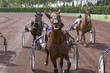 course de chevaux