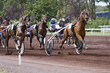 course de chevaux