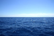 Horizon