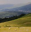 scenic landscape country countryside scenery hills
