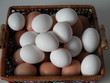 cesta de huevos cesta de huevos