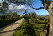 paysage de catalogne