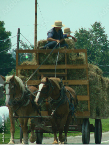 Photo: off to market off to market