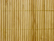 bamboo texture #3