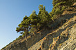 sea coast