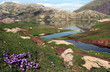lac d'estaëns et crocus