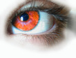 yeux marron