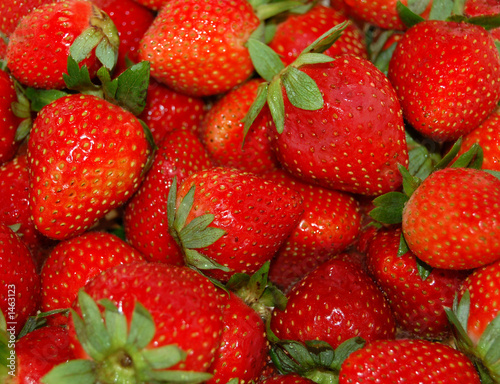 Photo: strawberries strawberries