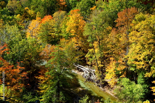 Photo: autumn ravine autumn ravine