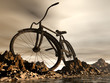 mountain bike