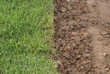 fixing the grass fixing the grass