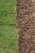 fixing the grass fixing the grass