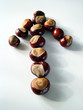 conker arrow