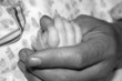 father holding baby's hand