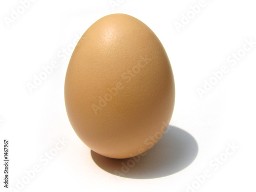 egg