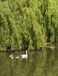 river avon stratford upon avon river avon stratford upon avon