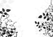 canvas print picture black and white background illustration