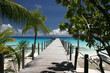 paradise island