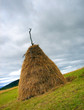hay